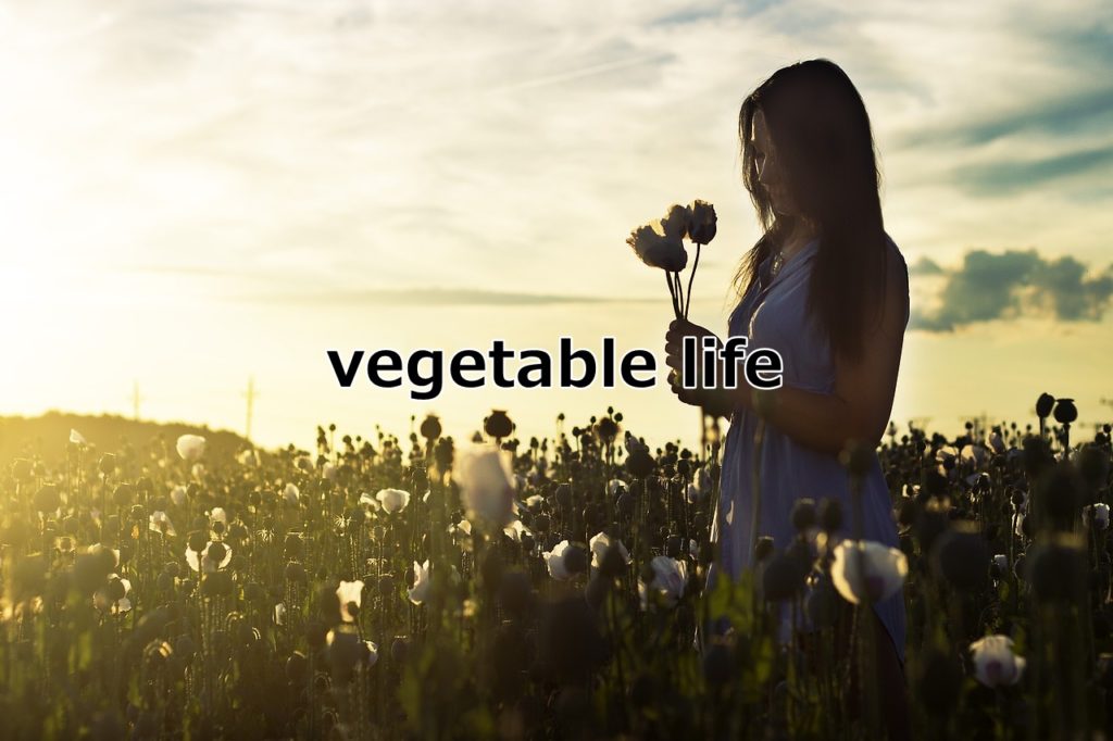vegetable life