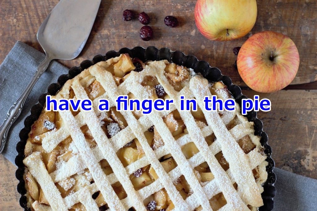 have a finger in the pie