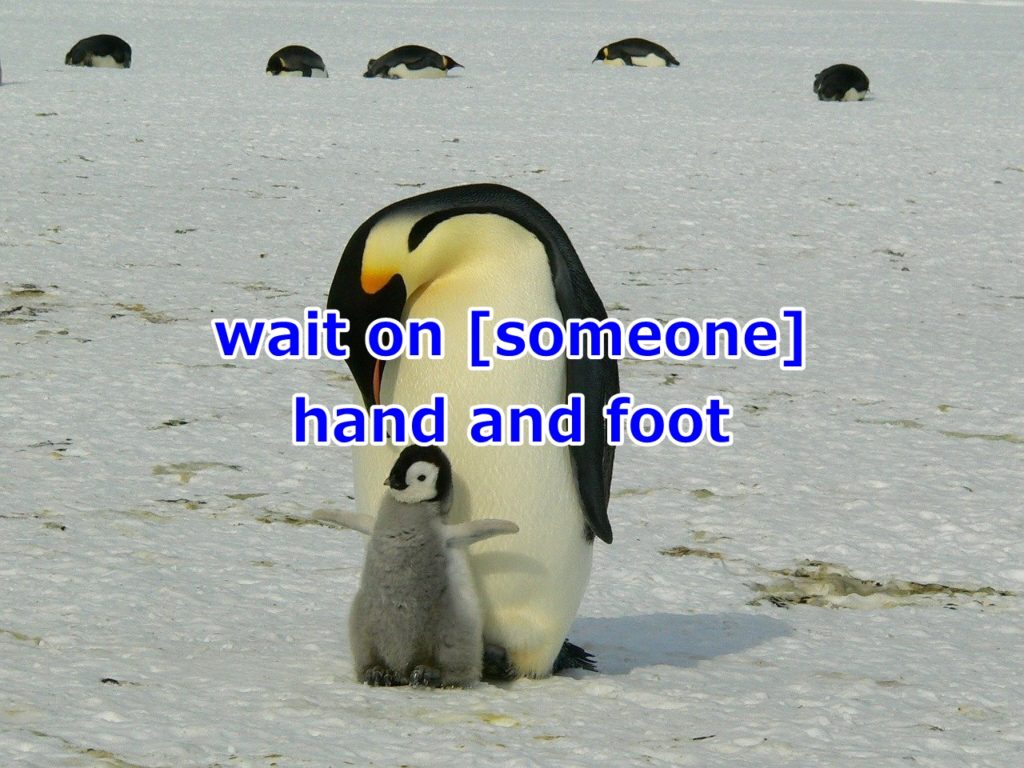 wait on [someone] hand and foot