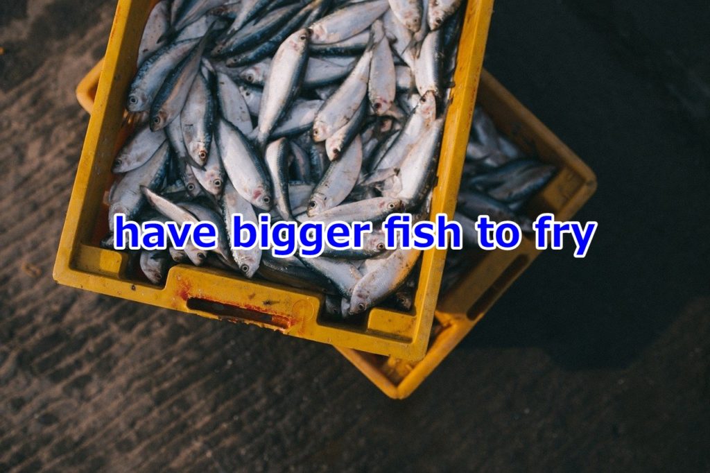 have bigger fish to fry
