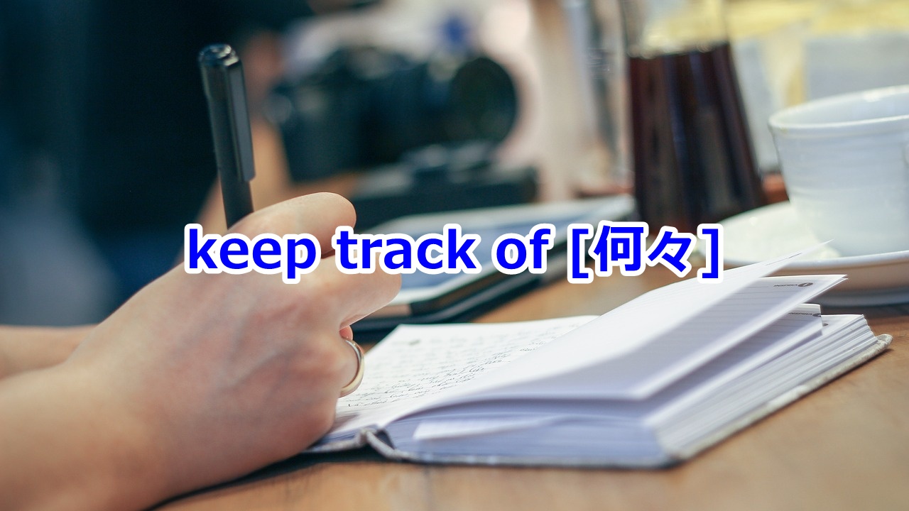 keep track of [何々] …の経過を追う