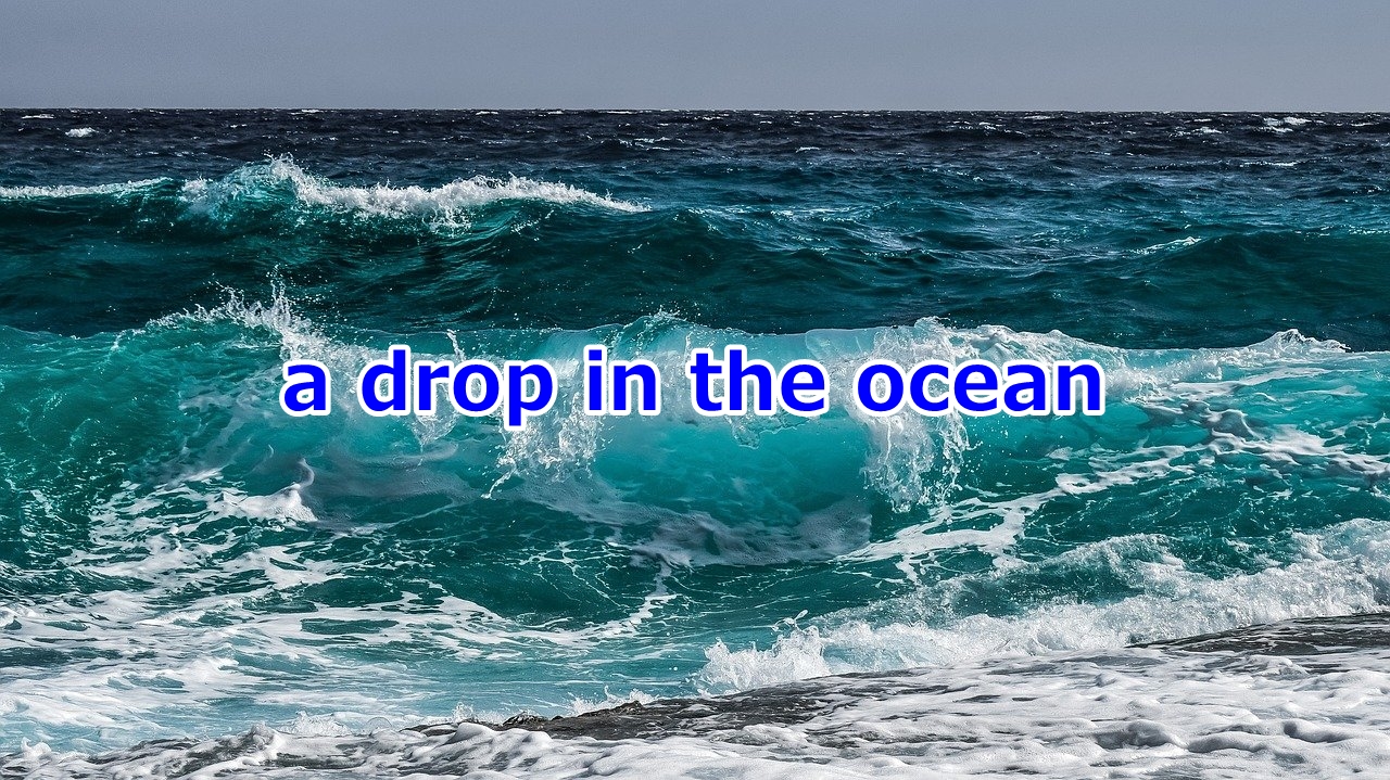 a drop in the ocean 大海の一滴、すずめの涙
