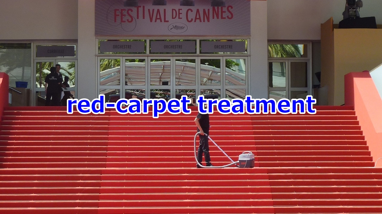 red-carpet treatment 丁重な・盛大な待遇