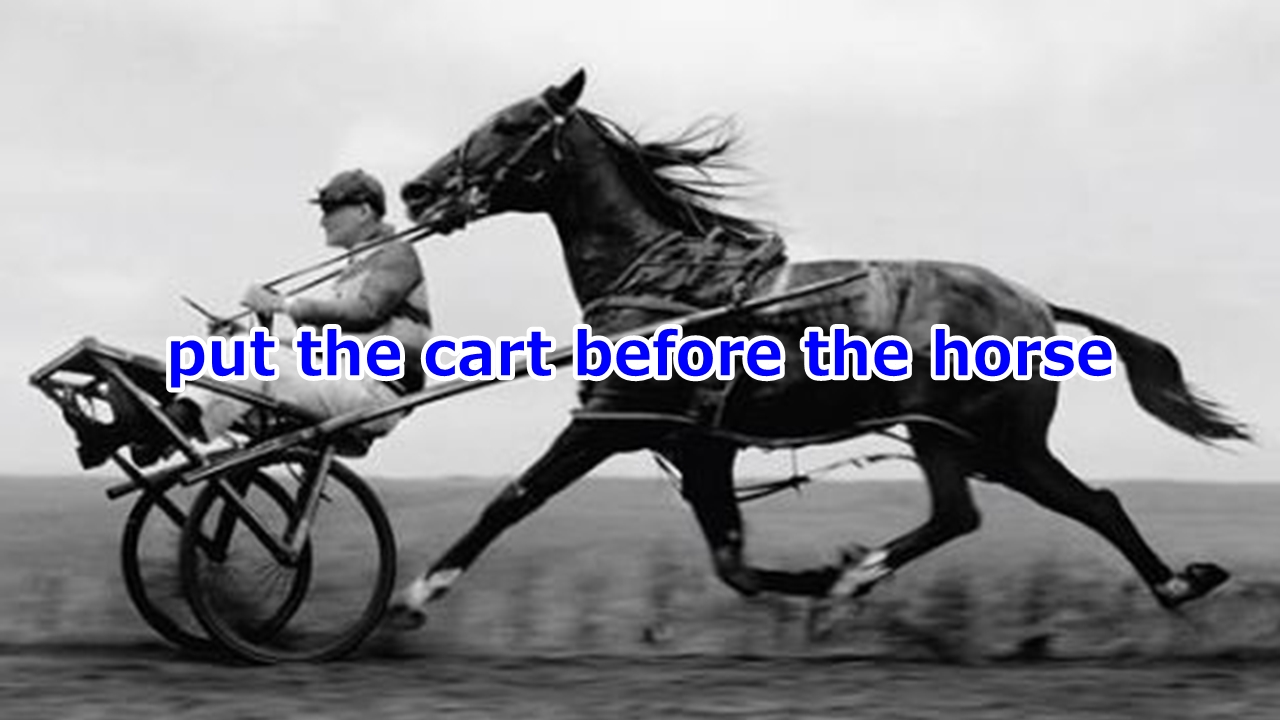 put the cart before the horse 順序を間違える、論理的でないことをする