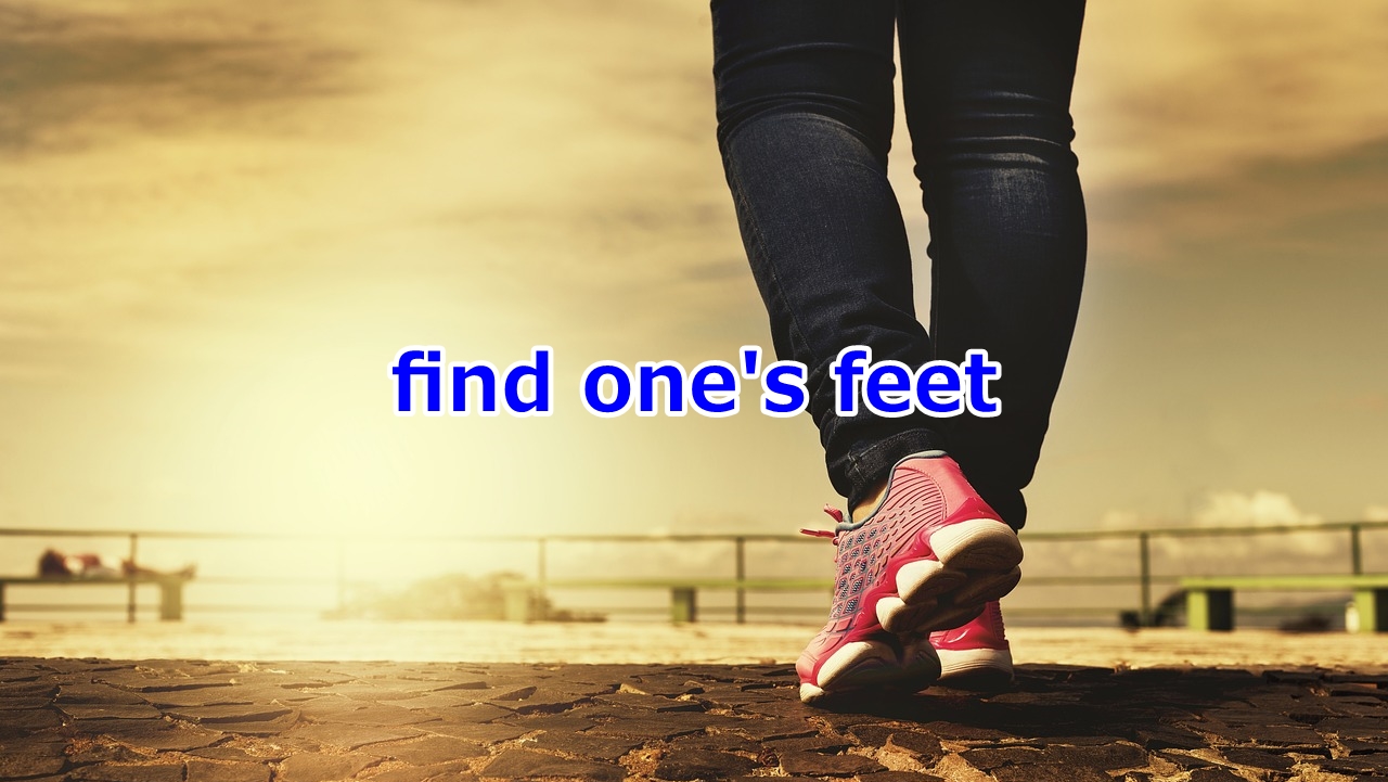 find one's feet 自信がつく、独り立ちできるようになる