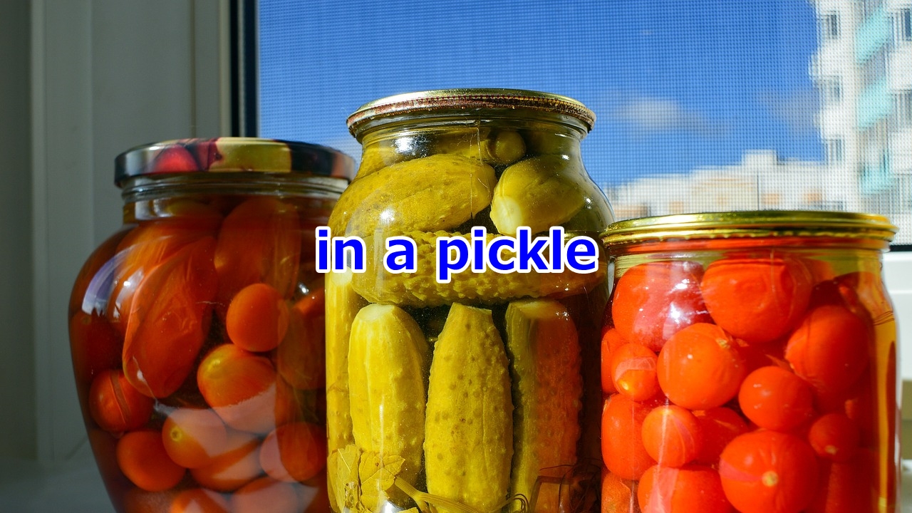 in a pickle 困っている、難局に立っている