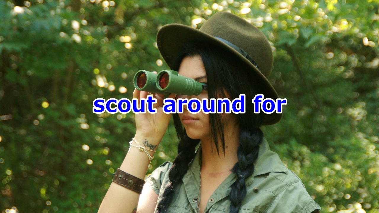 scout around for [何々] ～を探し回る、あちこち探す