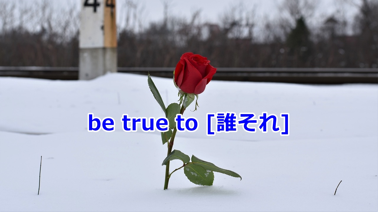be true to [誰々] …に忠実である