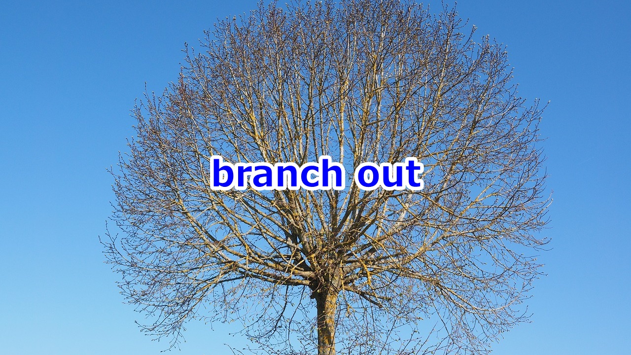 branch out 活動の手を広げる