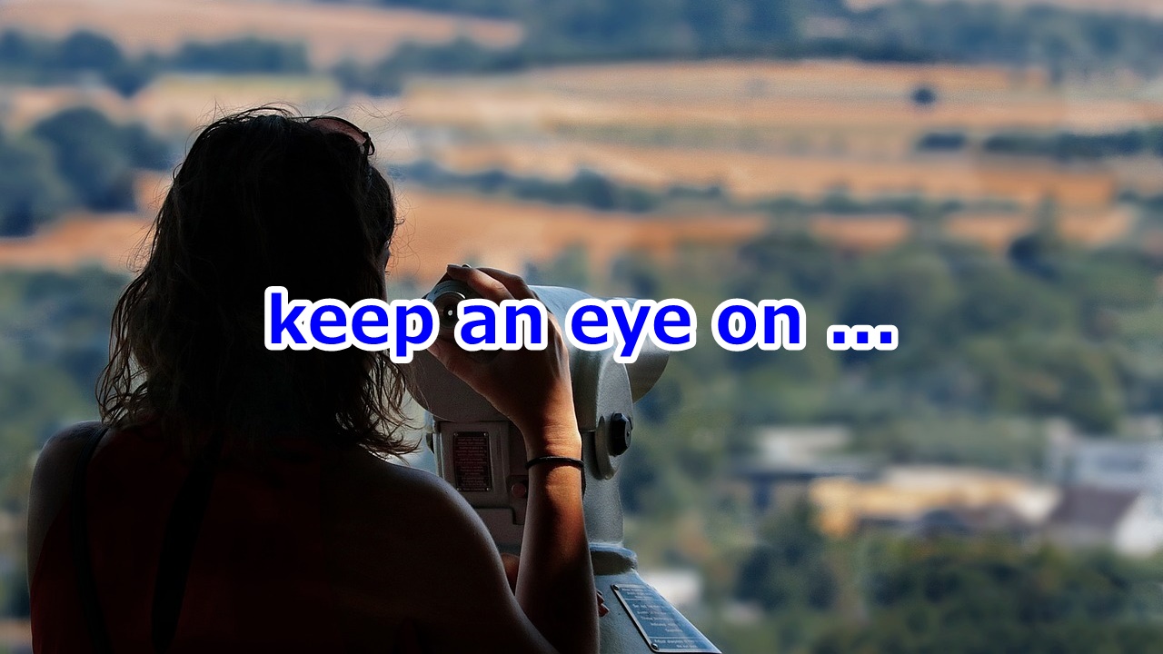 keep an eye on ～から目を離さない、～への注意を怠らない