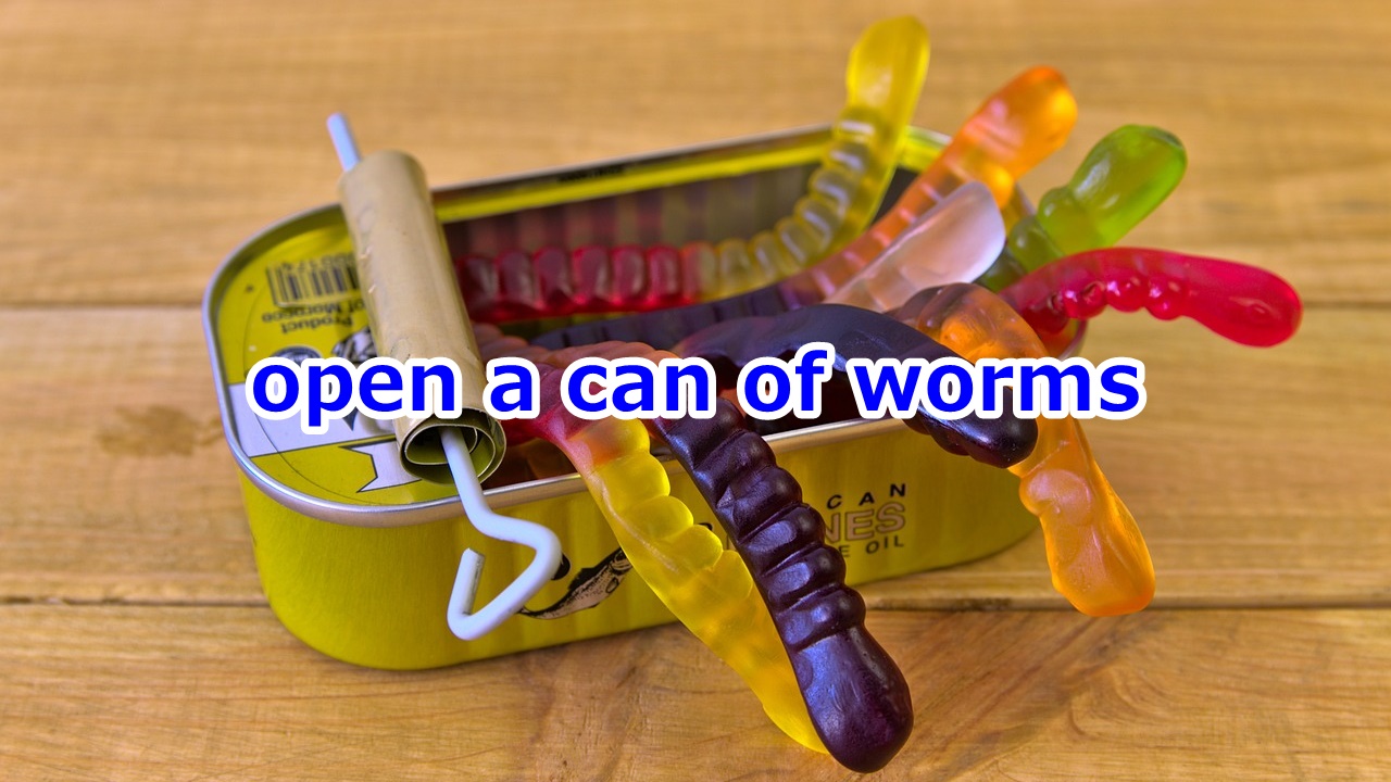 open a can of worms 面倒なことになる