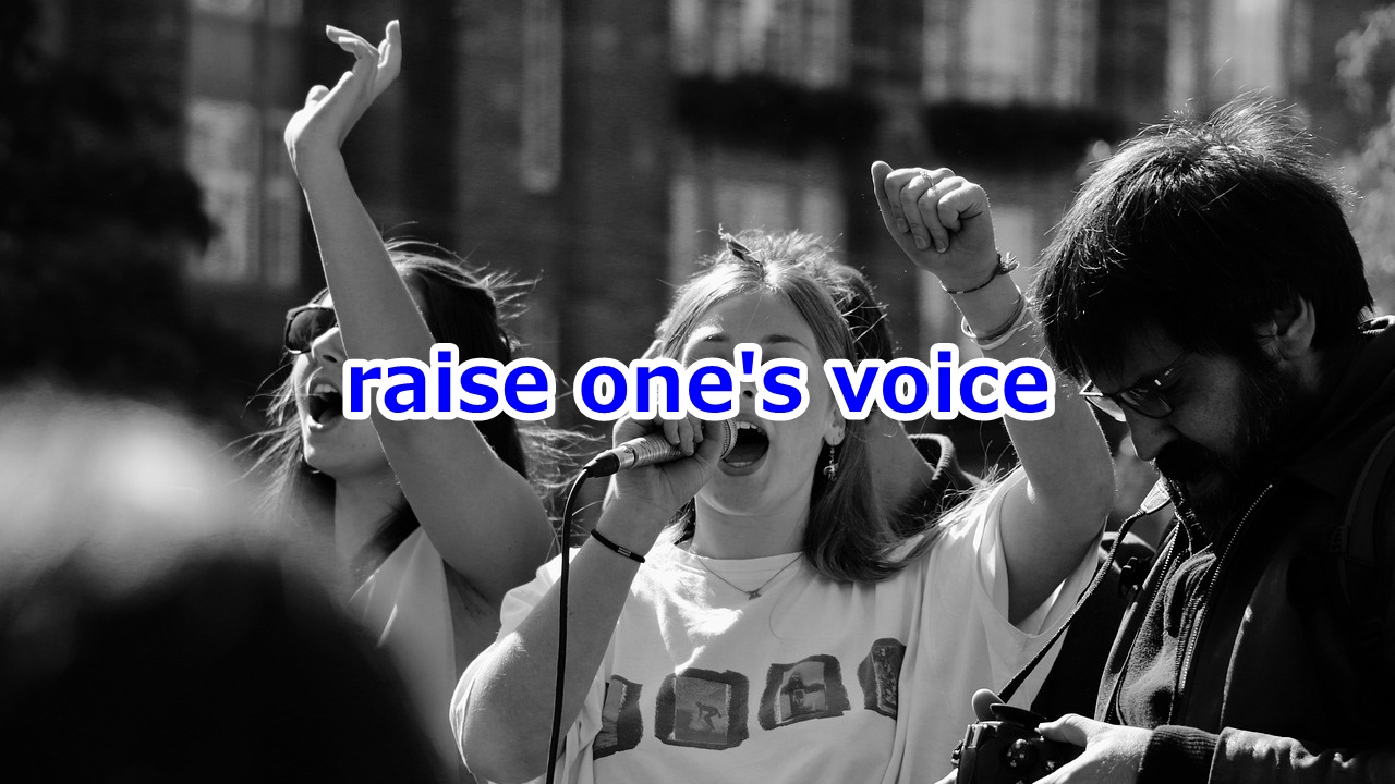 raise one's voice 声を張り上げる・荒らげる、苦情を言う、抗議する