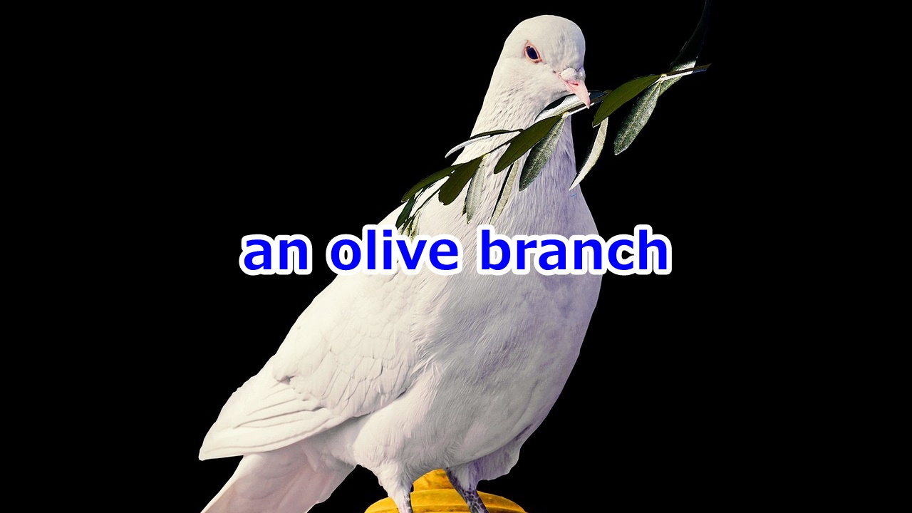an olive branch 仲直り・和解の申し出、和平提案