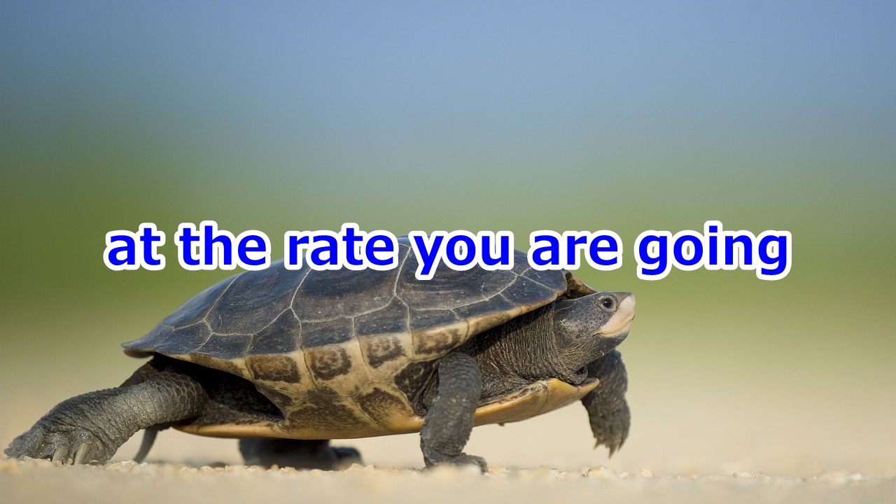 at the rate you are going あなたのその調子で行けば