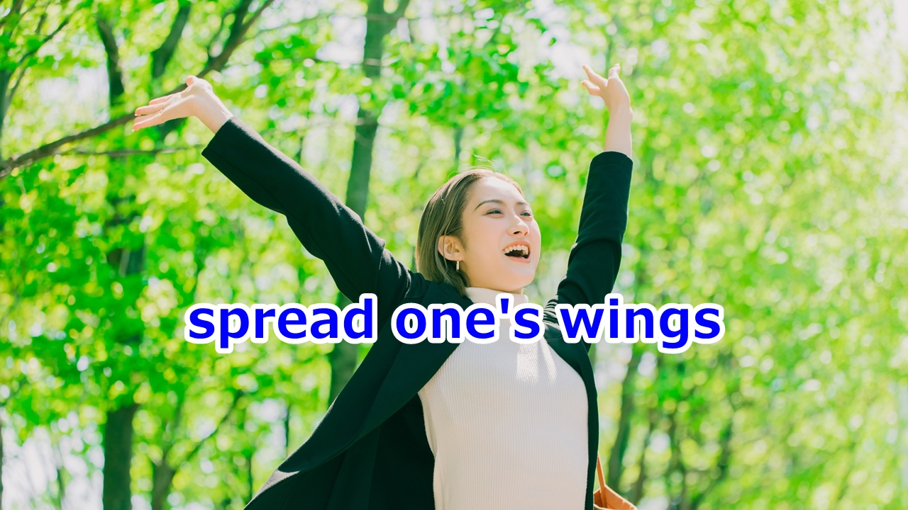 spread one's wings 新しいことに挑戦する