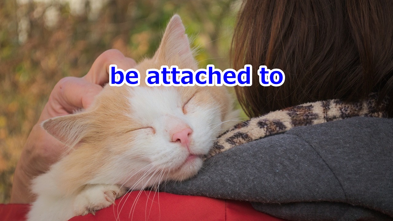 be attached to [何々・誰々] …に愛着がある