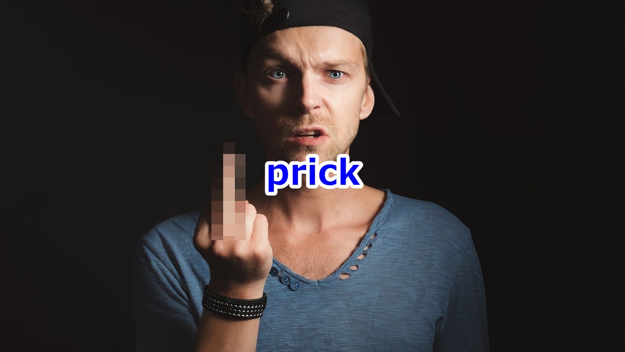 prick 嫌な、愚劣な、ひどいやつ