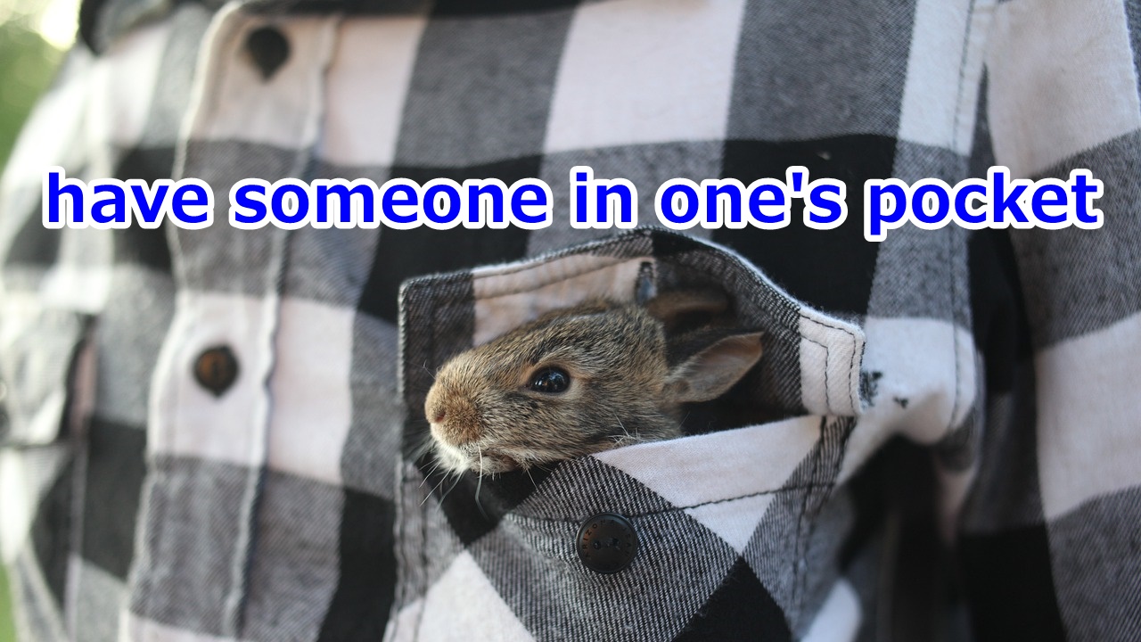 have someone in one's pocket …を掌握する