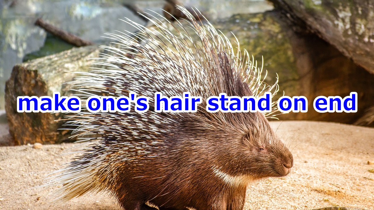 make one's hair stand on end ぞっとさせる