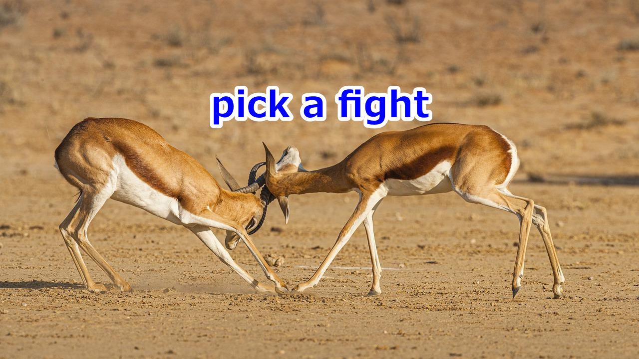 pick a fight 喧嘩を売る