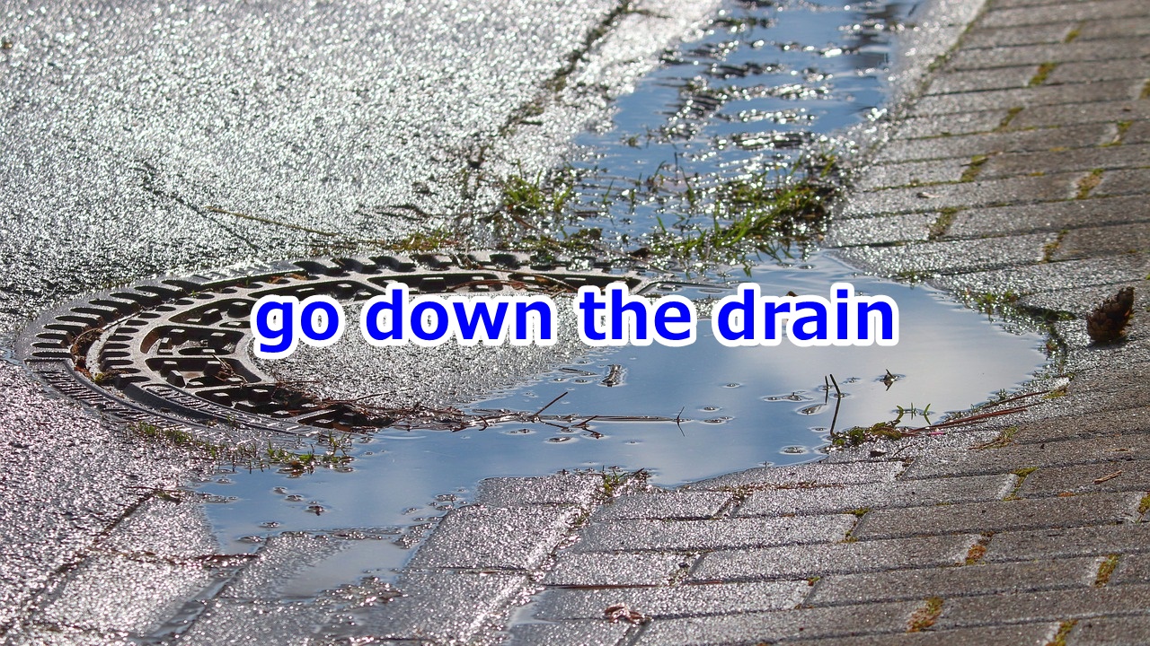 go down the drain 無駄になる、水の泡になる