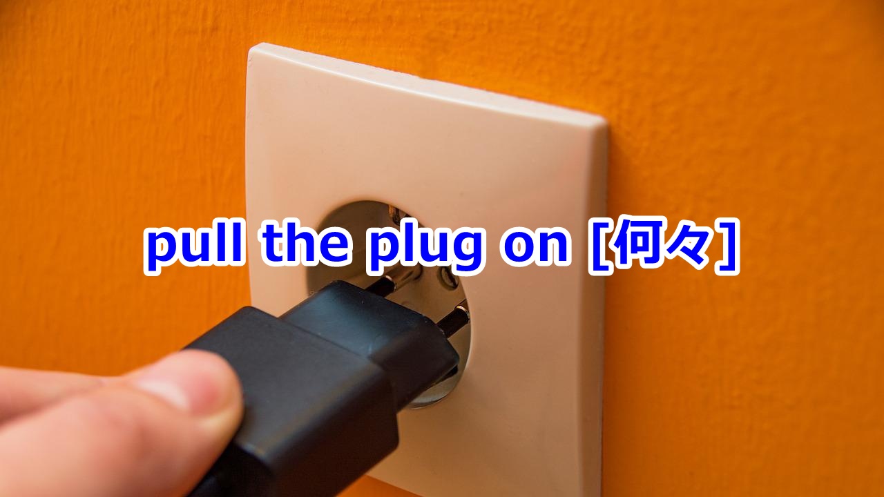 pull the plug on [何々] …から手を引く