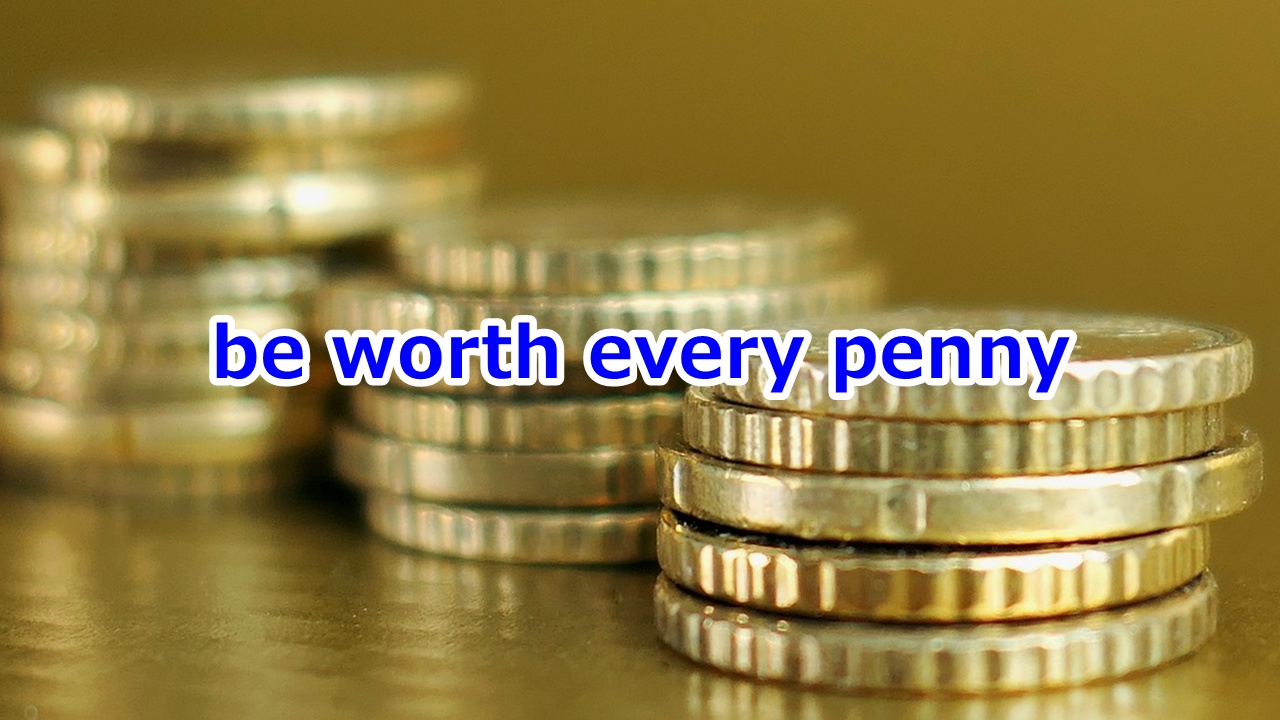 be worth every penny 大変値打ちがある