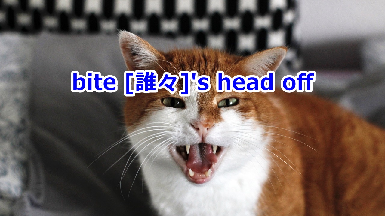 bite [誰々]'s head off …に食ってかかる