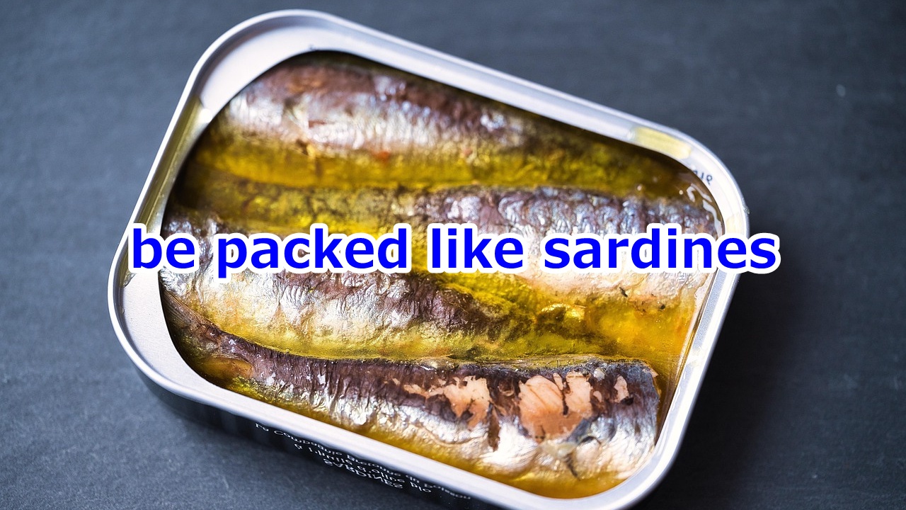 be packed like sardines すし詰め状態で