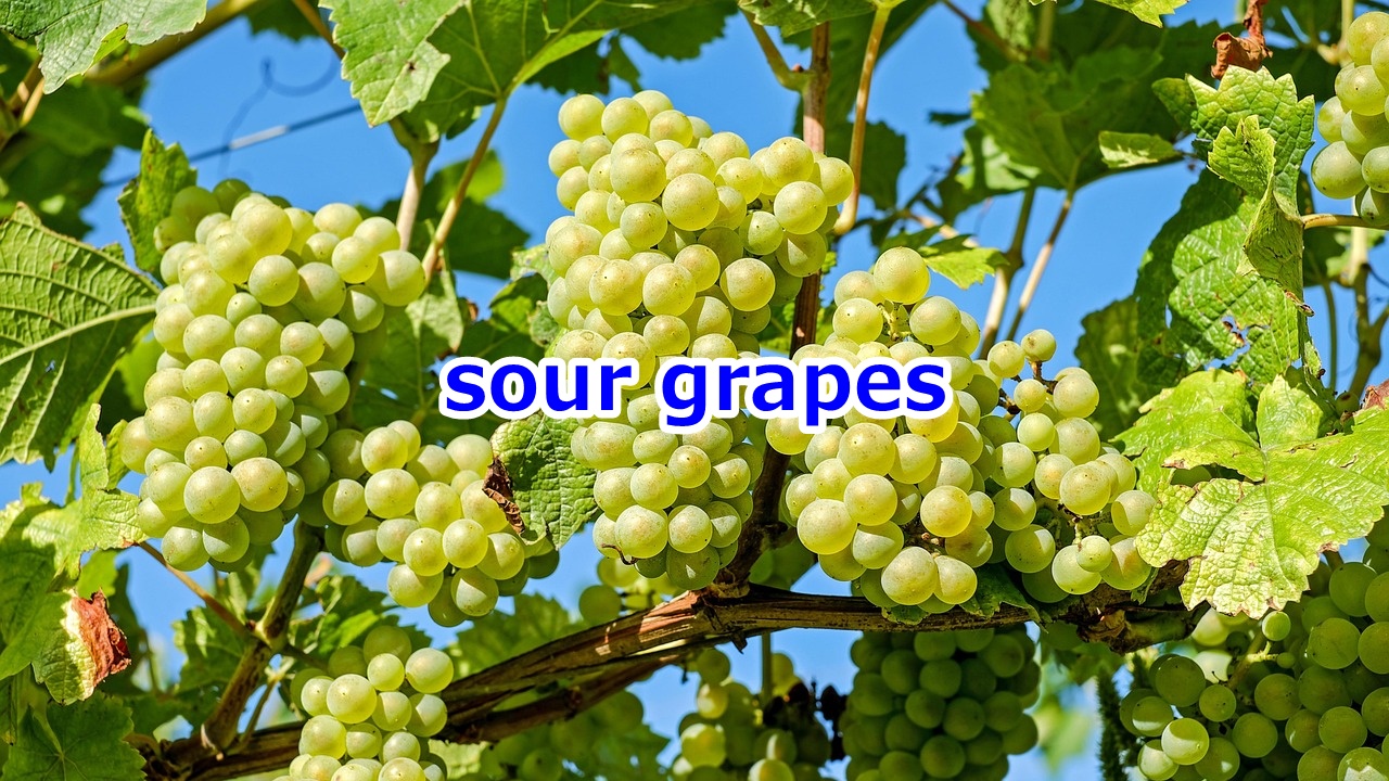 sour grapes 負け惜しみ、手に入らないものを悪く言うこと