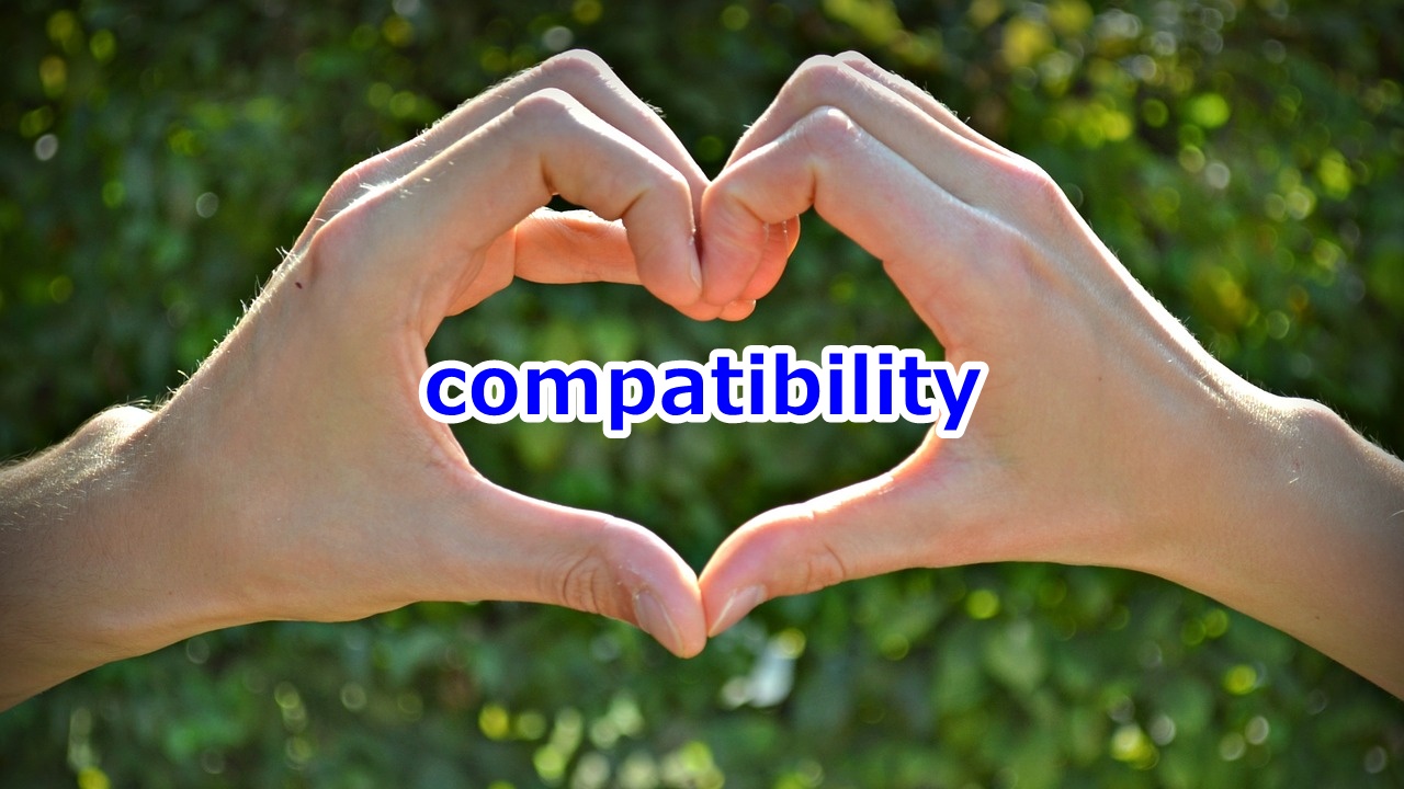 compatibility 相性、互換性、適合性