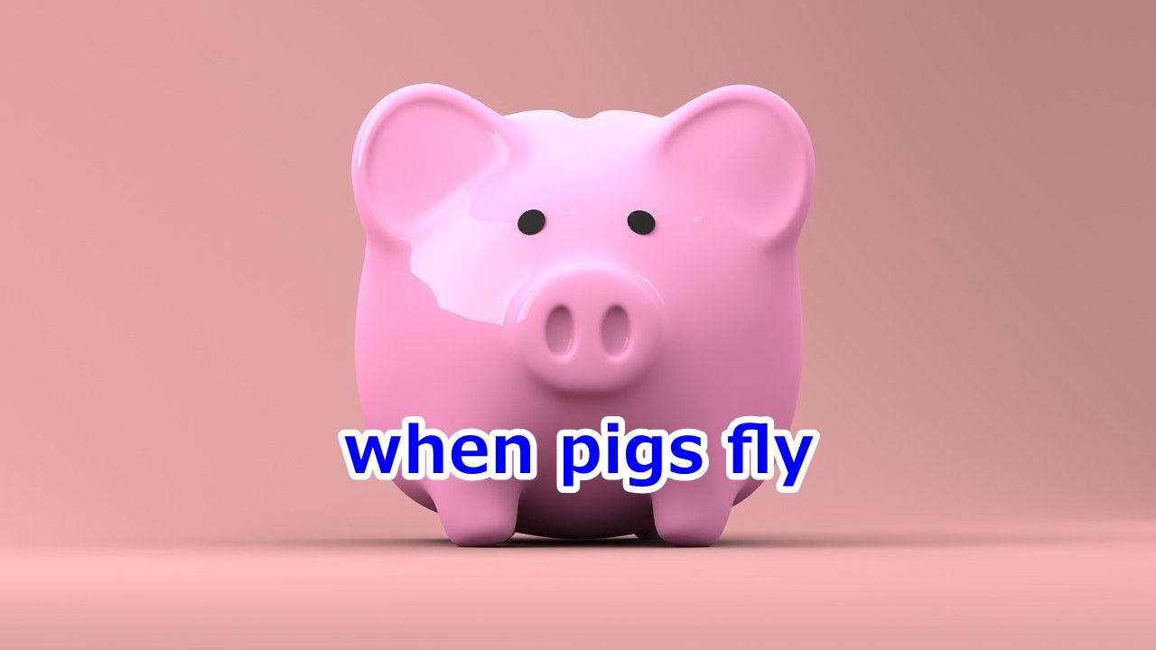 when pigs fly 絶対にありえない