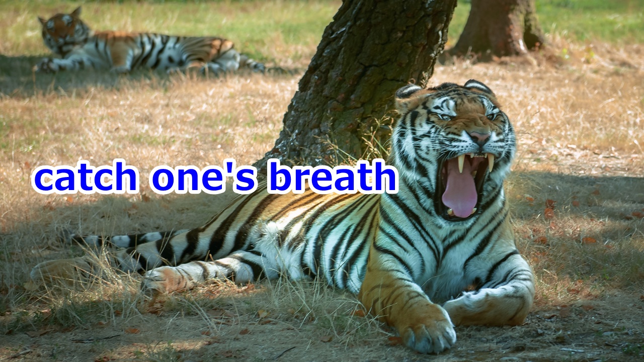 catch one's breath 休憩する、一息つく