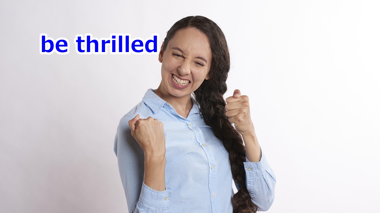 be thrilled 心がおどる、わくわくする、感激する