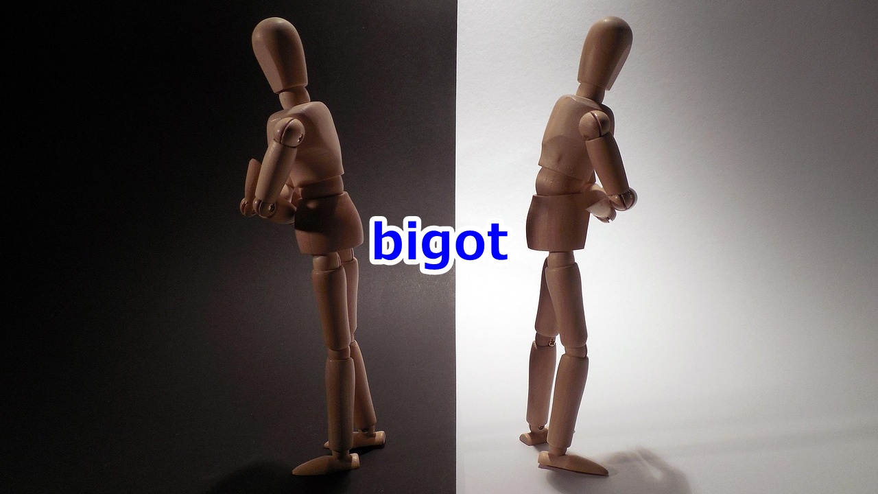 bigot 偏狭な人、偏屈者、わからず屋