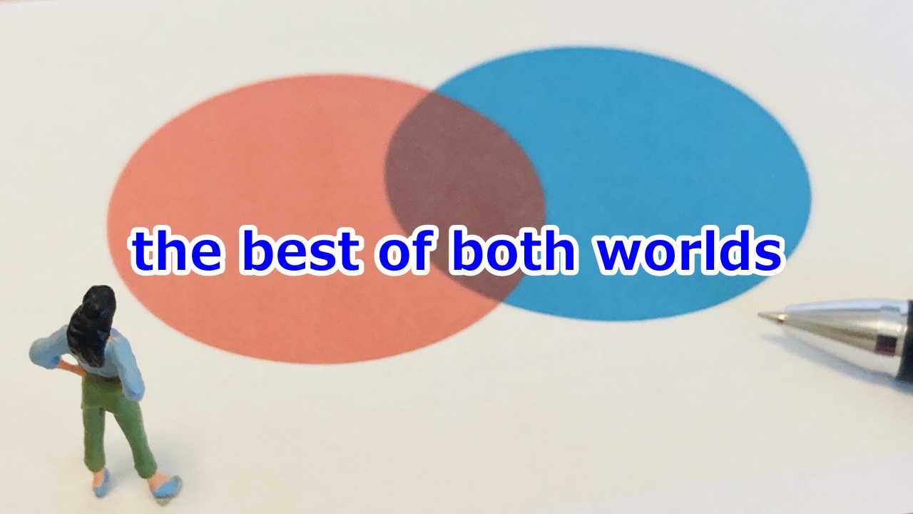 the best of both worlds いいとこ取り